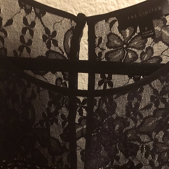 The Limited Cocktail Party Dress, Black Lace and Black & Rose Gold, size 8 - Picture 8 of 13